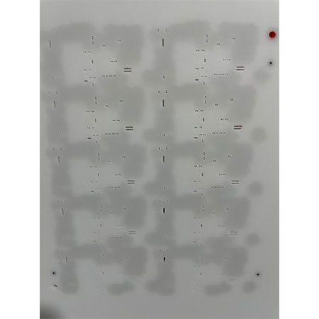 紅膠膠網(wǎng)清洗后 紅膠膠網(wǎng)清洗后